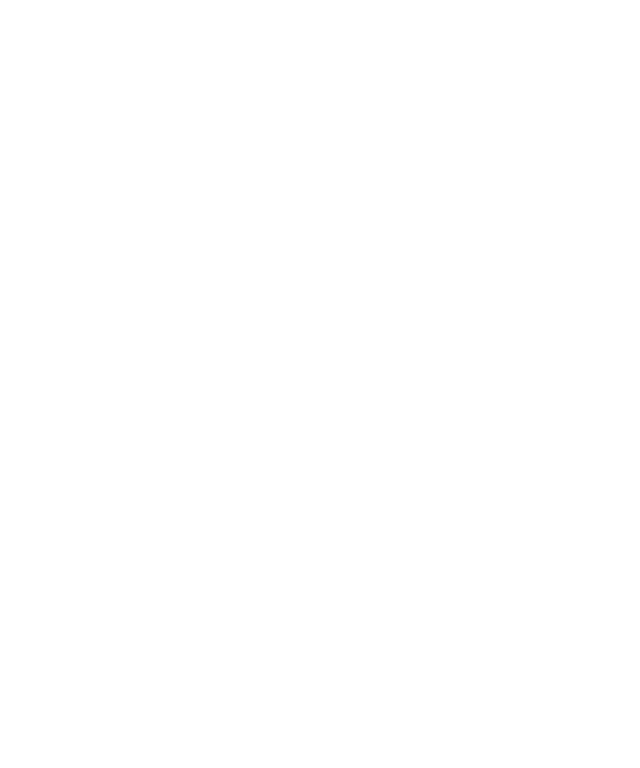 Bid Telecom logo