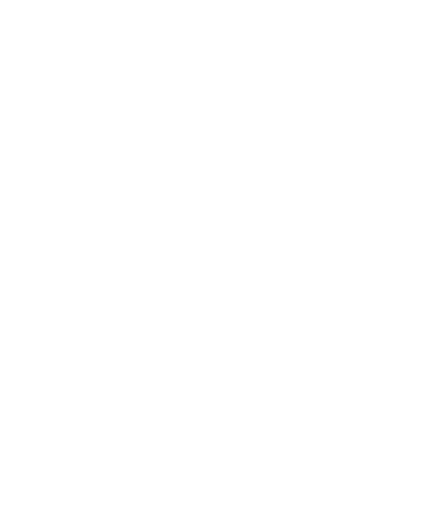 Orion Minerals logo
