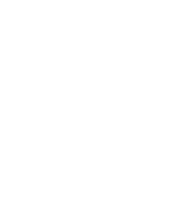Zithetele Media logo